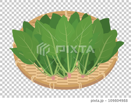 Illustration of spinach on a colander 109804988