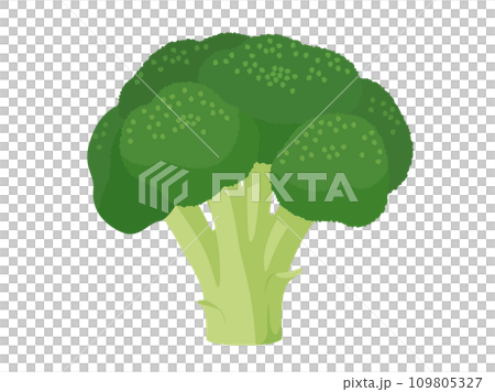 西蘭花的插圖 109805327