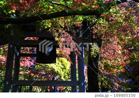 紅葉に包まれる常寂光寺(京都)の鐘楼 紅葉に包まれる常寂光寺(京都)の鐘楼 109805330