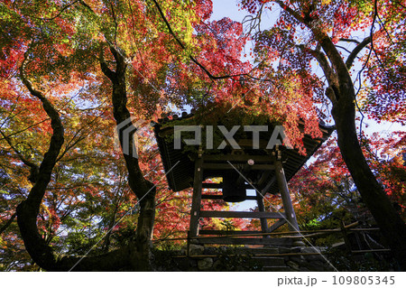 紅葉に包まれる常寂光寺（京都）の鐘楼 109805345
