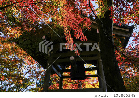 紅葉に包まれる常寂光寺(京都)の鐘楼 紅葉に包まれる常寂光寺(京都)の鐘楼 109805348