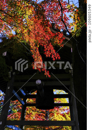 紅葉に包まれる常寂光寺(京都)の鐘楼 紅葉に包まれる常寂光寺(京都)の鐘楼 109805349