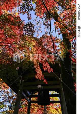 紅葉に包まれる常寂光寺(京都)の鐘楼 紅葉に包まれる常寂光寺(京都)の鐘楼 109805352