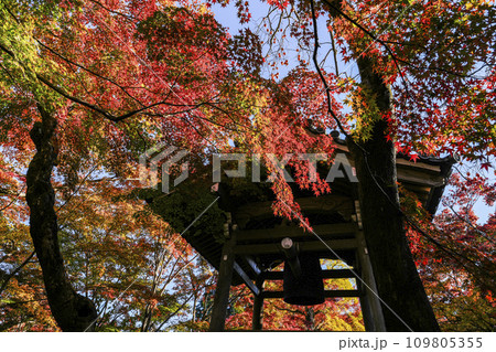 紅葉に包まれる常寂光寺(京都)の鐘楼 紅葉に包まれる常寂光寺(京都)の鐘楼 109805355