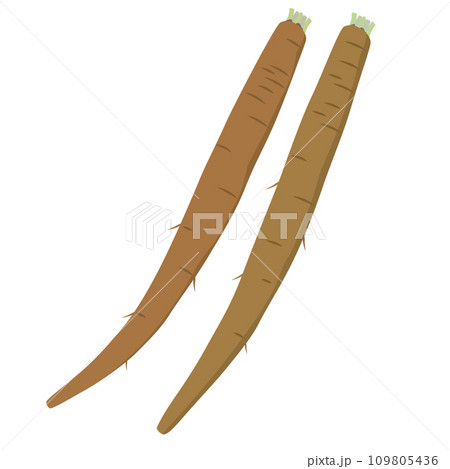 ごぼうのイラスト 109805436