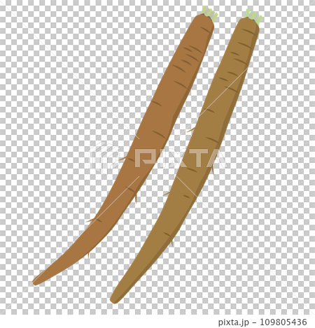 ごぼうのイラスト 109805436