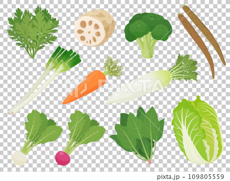 冬野菜のイラストセット 109805559