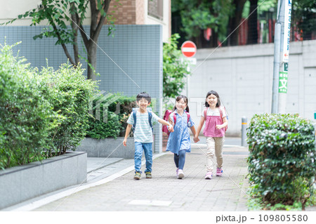 一緒に登校する小学生。 109805580