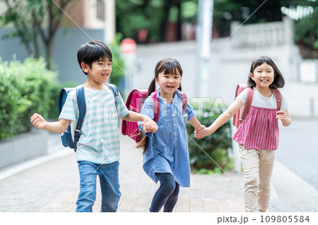 一緒に登校する小学生。 109805584