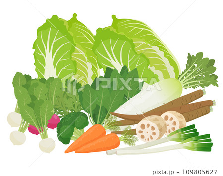 冬野菜のイラスト 冬野菜のイラスト 109805627