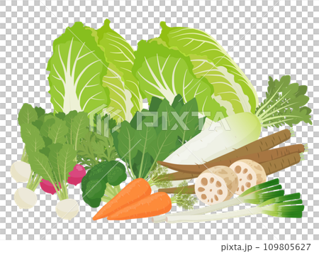 Illustration of winter vegetables Illustration of winter vegetables 109805627