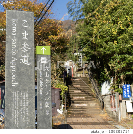 大山(神奈川県伊勢原市)　こま参道入口 109805714