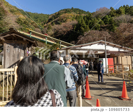 大山(神奈川県伊勢原市) 大山ケーブル駅 大山(神奈川県伊勢原市) 大山ケーブル駅 109805733
