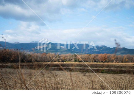 冬の田んぼと山の風景 冬の田んぼと山の風景 109806076