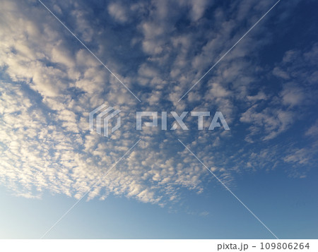 夕陽に映えるウロコ雲、2023/10/29 16:23撮影 109806264
