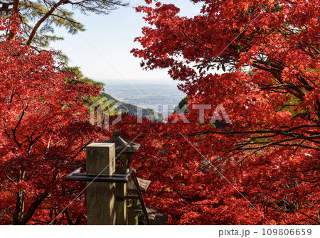大山(神奈川県伊勢原市)　大山寺参道から見た風景(手前のモミジにピント) 109806659