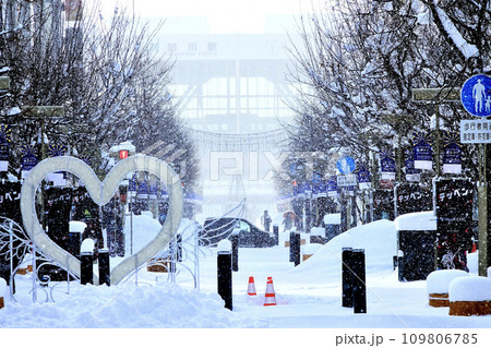 雪降る冬の北海道旭川の平和通買物公園 雪降る冬の北海道旭川の平和通買物公園 109806785