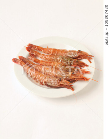 ガスエビ 109807480