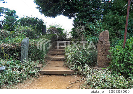 九重神社境内の御嶽山【埼玉県川口市】 九重神社境内の御嶽山【埼玉県川口市】 109808009