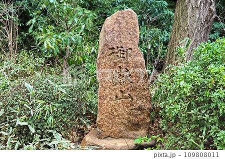 九重神社境内の御嶽山【埼玉県川口市】 109808011