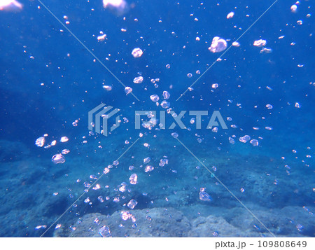 アワ　海中 109808649