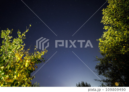 starry night sky in garden, wide angle capture in zenith direction starry night sky in garden, wide angle capture in zenith direction 109809490