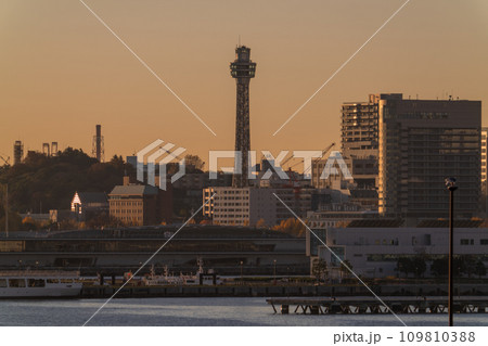 《神奈川県》マリンタワーの夜明け・横浜ベイエリア 109810388