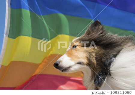 レインボープライドイメージ　LGBTQ 109811060