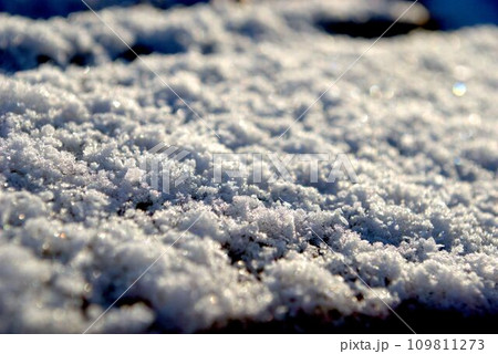 切り株に積もった雪 切り株に積もった雪 109811273