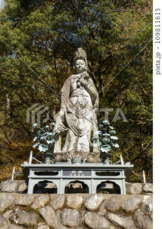 大山(神奈川県伊勢原市)　十一面観音 109811615