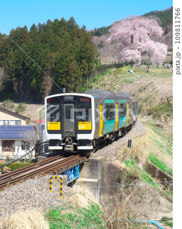 一本桜 - 水郡線と満開の戸津辺の桜 一本桜 - 水郡線と満開の戸津辺の桜 109811766