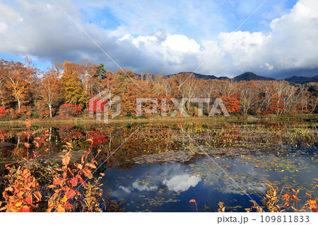 志賀高原の紅葉 志賀高原の紅葉 109811833