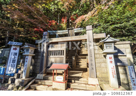 大山(神奈川県伊勢原市)　大山頂上登山口 109812367