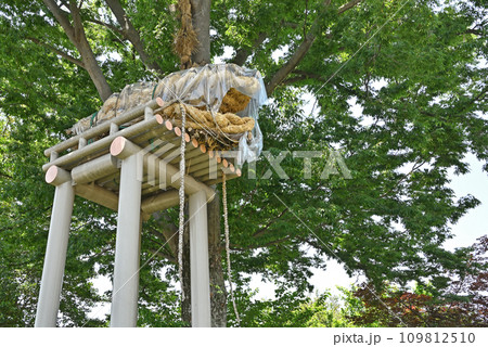 川口散歩・安行原の蛇造り 川口市安行原 川口散歩・安行原の蛇造り 川口市安行原 109812510