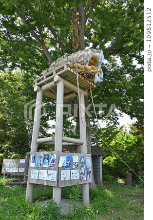 川口散歩・安行原の蛇造り　川口市安行原 109812512