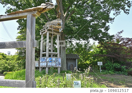 川口散歩・安行原の蛇造り 川口市安行原 川口散歩・安行原の蛇造り 川口市安行原 109812517