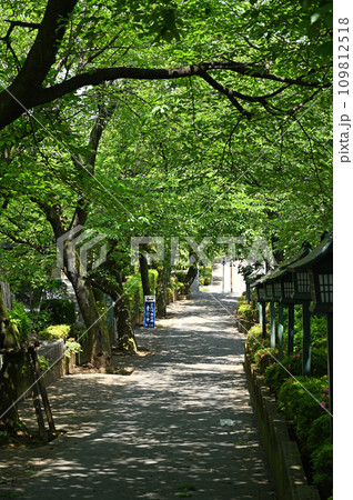 川口散歩・密蔵院 真言宗智山派 川口市安行原 川口散歩・密蔵院 真言宗智山派 川口市安行原 109812518