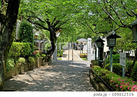 川口散歩・密蔵院 真言宗智山派 川口市安行原 川口散歩・密蔵院 真言宗智山派 川口市安行原 109812519