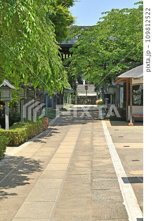 川口散歩・密蔵院　真言宗智山派　川口市安行原 109812522