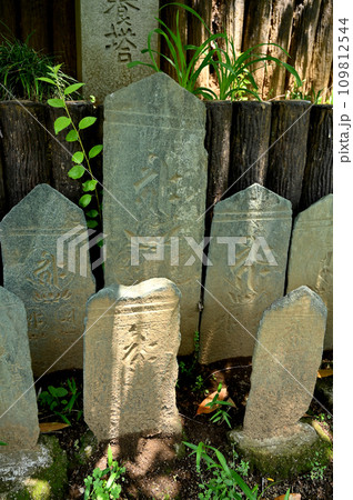 川口散歩・密蔵院　真言宗智山派　川口市安行原 109812544