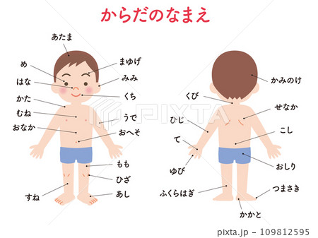 体の名前　男の子 109812595