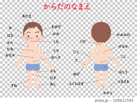 体の名前　男の子 109812595