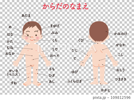 Body name boy 109812596