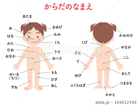 体の名前　女の子 109812598