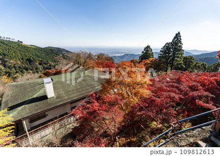 大山(神奈川県伊勢原市)　阿夫利神社からの眺望 109812613