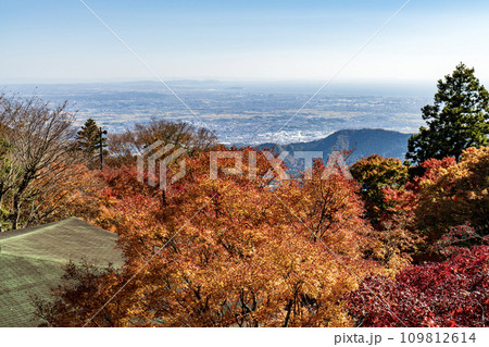 大山(神奈川県伊勢原市)　阿夫利神社からの眺望 109812614