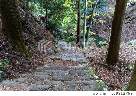 大山(神奈川県伊勢原市)登山道　女坂の風景 109812768