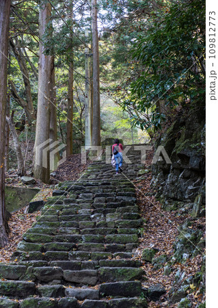 大山(神奈川県伊勢原市)登山道　女坂の風景 109812773