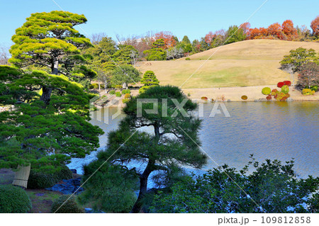 万博記念公園　日本庭園 109812858