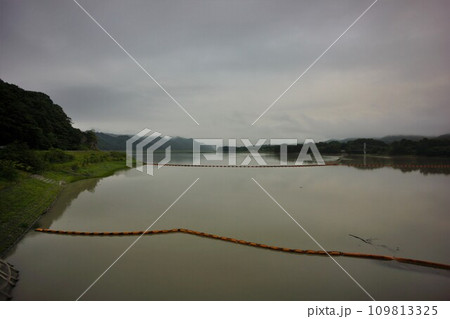 二風谷ダムの二風谷湖 二風谷ダムの二風谷湖 109813325